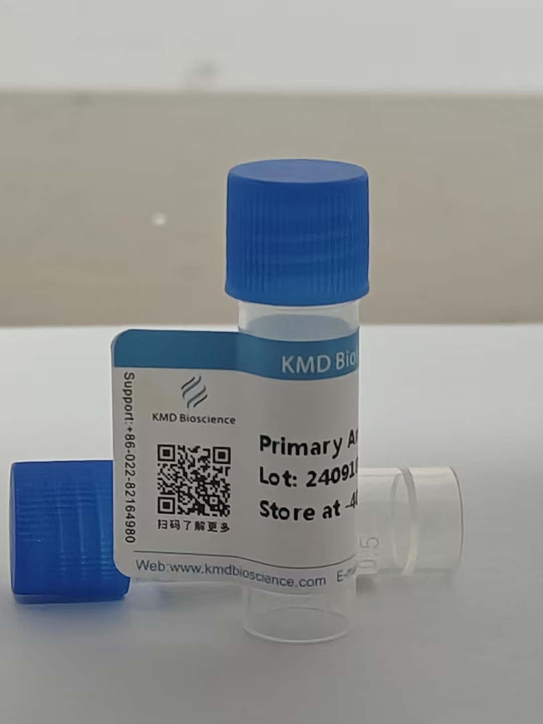 Rabbit Anti-K0087 Polyclonal Antibody